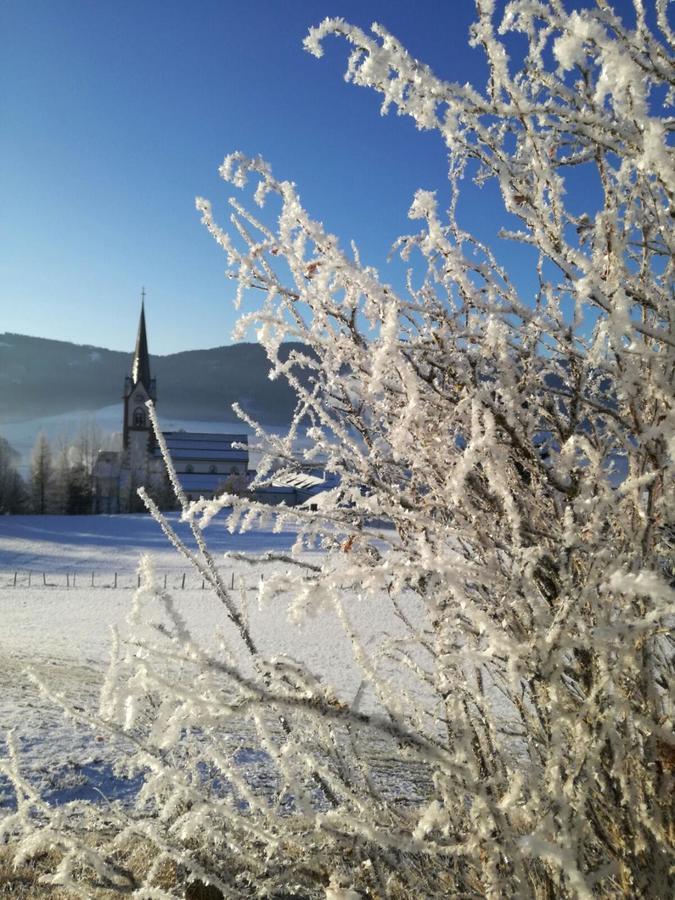 Appartementhaus Novak Mariapfarr Eksteriør bilde